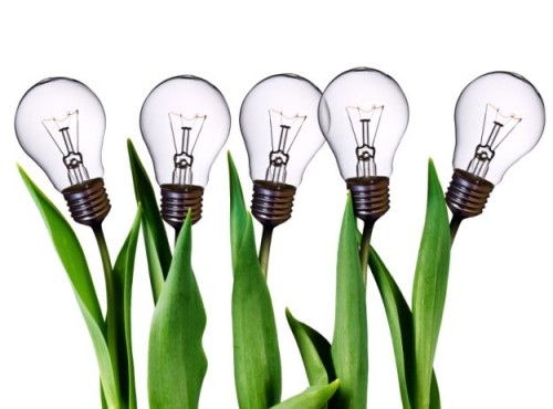 ISO14001 zarzadzanie.jpg